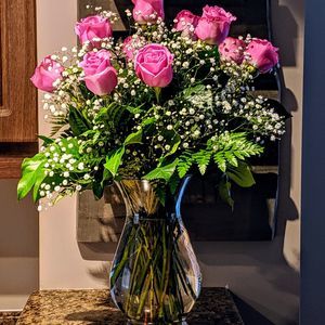 Meet your Posher, Fifi